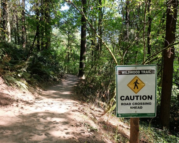 Road Crossing Sign By Wildwood Trail